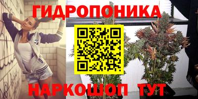 jwh Гусев