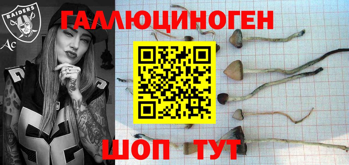 Галлюциногенные грибы Psilocybine cubensis Можга
