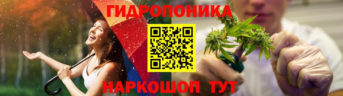 Канабис Bruce Banner Можга