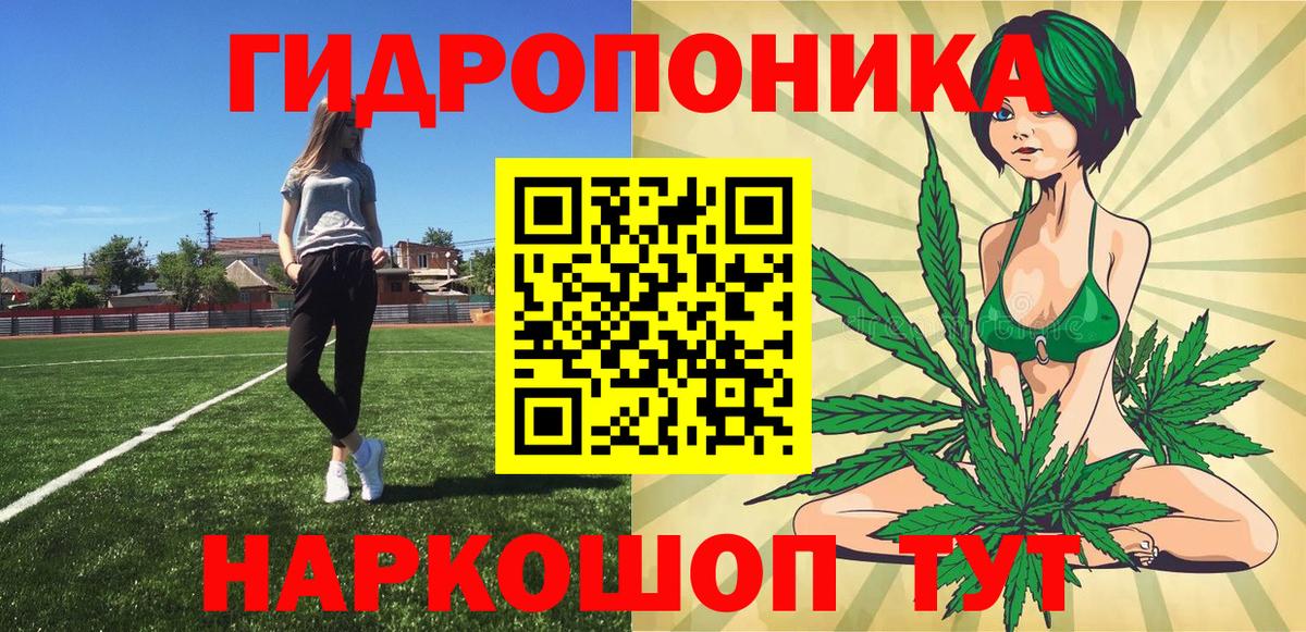 Можга  Бошки марихуана White Widow  Вход с VPN  Каннабис MAZAR  Бошки марихуана OG Kush  Марихуана THC 21% 